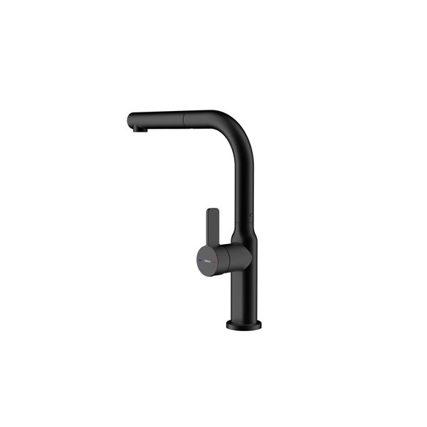 Mixer Tap Teka Black