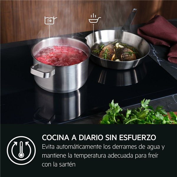 Induction Hot Plate AEG