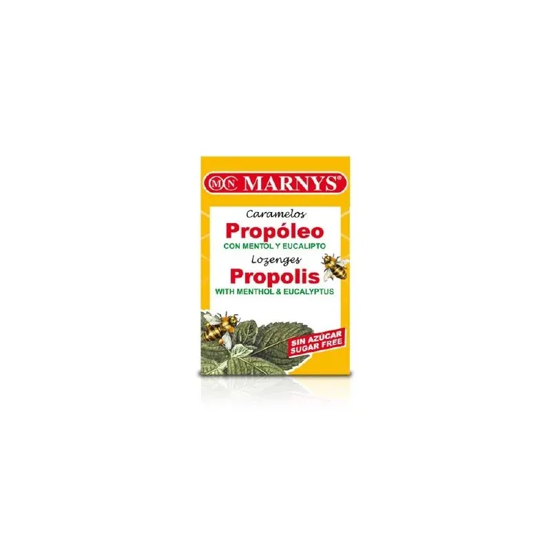 Grafiks Finocam YEAR Zils Mini 7,9 x 12,7 cm 2026