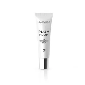 Расписание Finocam YEAR Синий 16,5 x 24,2 cm 2026