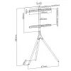 TV statīvs grīdai Techly 105209 65" 32 kg