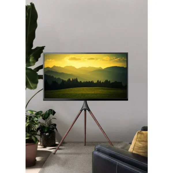 TV statīvs grīdai Techly 105209 65" 32 kg
