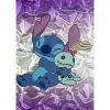 Tarrapaketti Panini STITCH TC