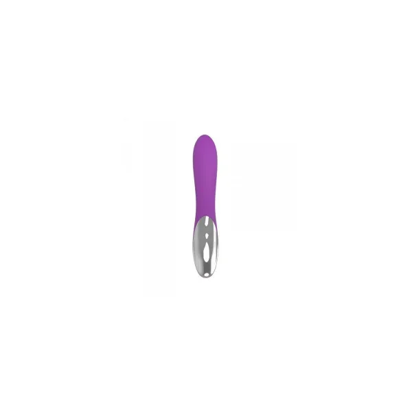 G-Spot Vibrator Toyz4lovers Purple