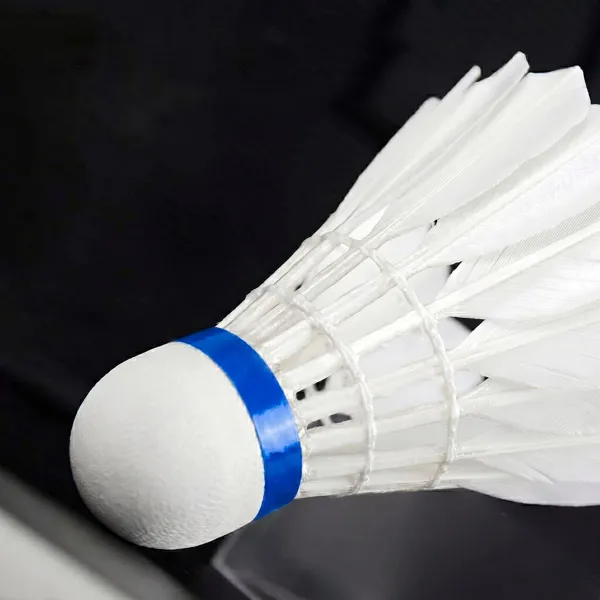 Badminton shuttlecocks Springos KG0009