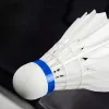 Badmintono kamuoliukai Springos KG0009