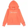 Men’s Hoodie Champion