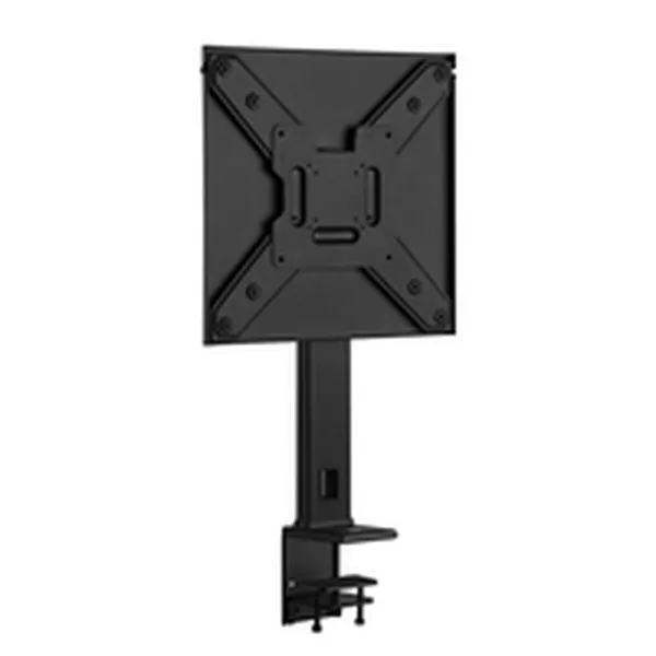 Monitors Ewent EW1543 55