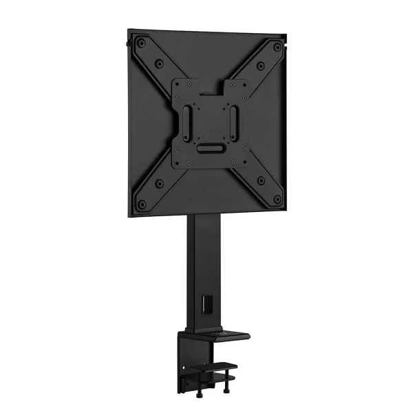 Monitors Ewent EW1543 55