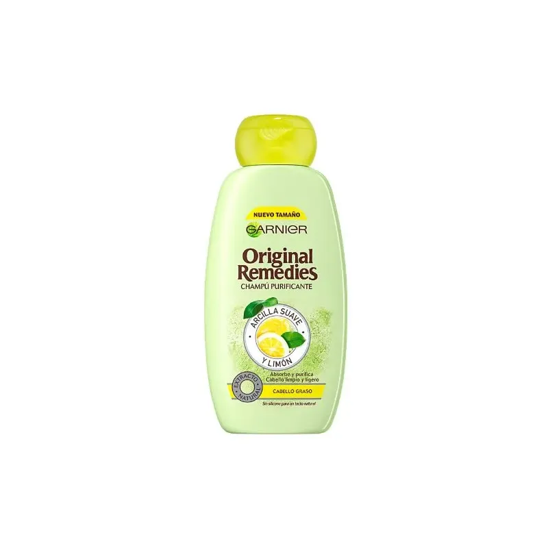 Purifying Shampoo Garnier C6054900 300 ml