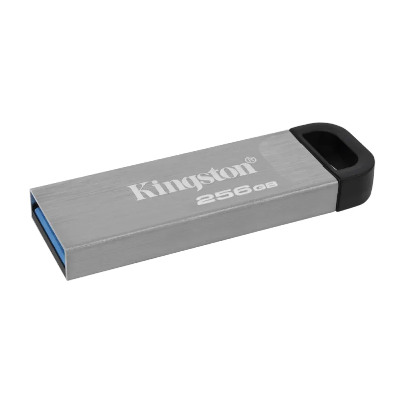 Zīmuļasināmais Kingston DTKN/256GB USB 3.2 Sudrabains Melns 256 GB