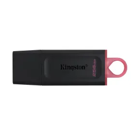 USВ-флешь память Kingston DTX/256GB Цепочка для ключей Чёрный 256 GB