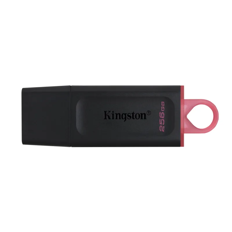 USВ-флешь память Kingston DTX/256GB Цепочка для ключей Чёрный 256 GB