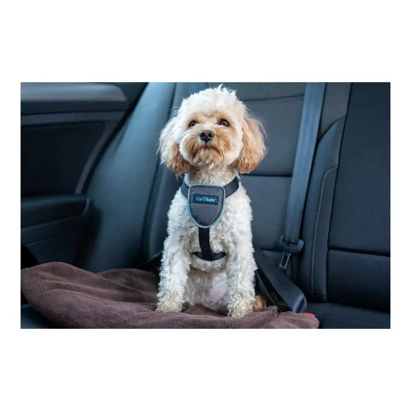 Koera rakmed Company of Animals CarSafe Must L