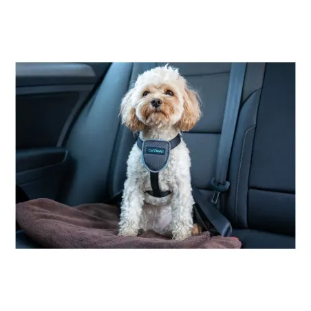Koera rakmed Company of Animals CarSafe Must L
