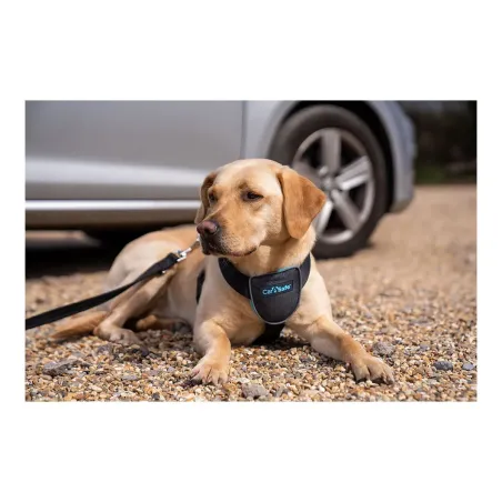 Koiran valjaat Company of Animals CarSafe Musta L