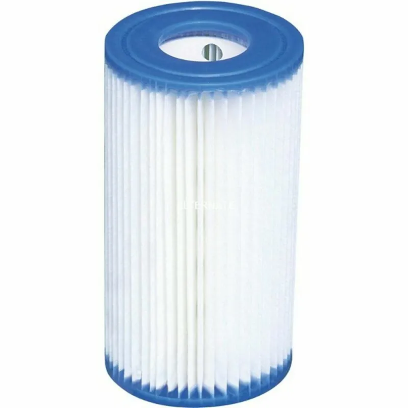 INTEX 29000 baseino siurblio filtras