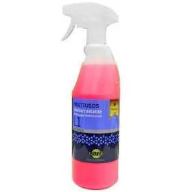 Daudzfunkcionāls Tīrītājs VINFER 750 ml