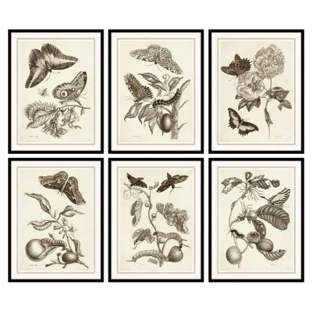 Картина DKD Home Decor Стеклянный Деревянный MDF 50 x 2,5 x 65 cm