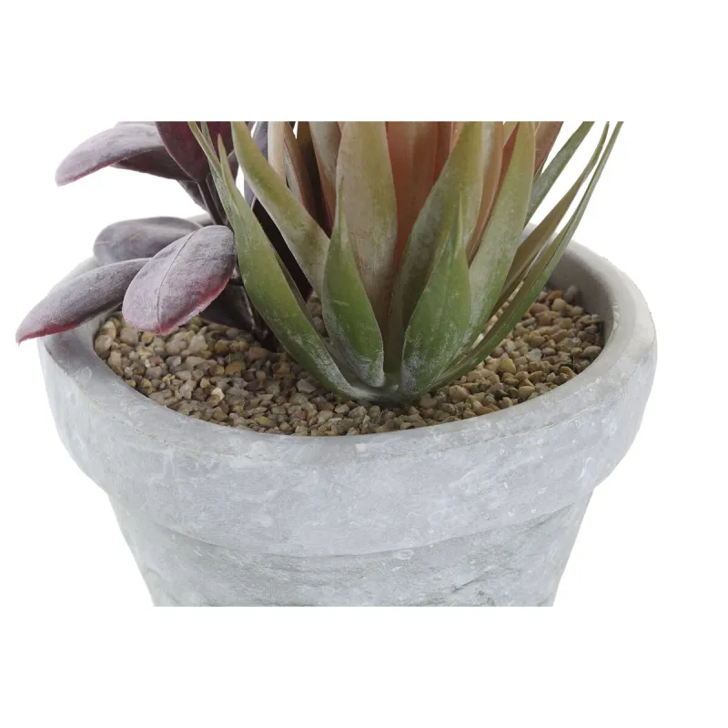 Dekoratīvs Augs DKD Home Decor Sarkans Pelēks Oranžs EVA PE (16 x 12,5 x 19,5 cm) (2 gb.)