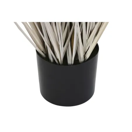 Koristekasvi DKD Home Decor Pompomit (45 x 45 x 150 cm)