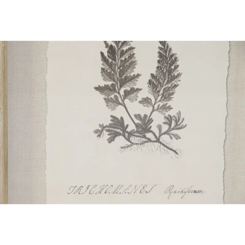 Картина Home ESPRIT Стеклянный Ель 30 x 2,5 x 40 cm (9 штук)