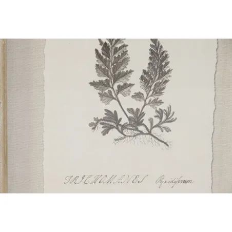 Картина Home ESPRIT Стеклянный Ель 30 x 2,5 x 40 cm (9 штук)