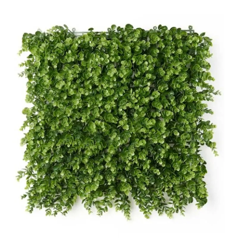 Pystysuorapuutarha Ibergarden Muovinen Levyt 50 x 50 cm 50 x 0,07 x 50 cm