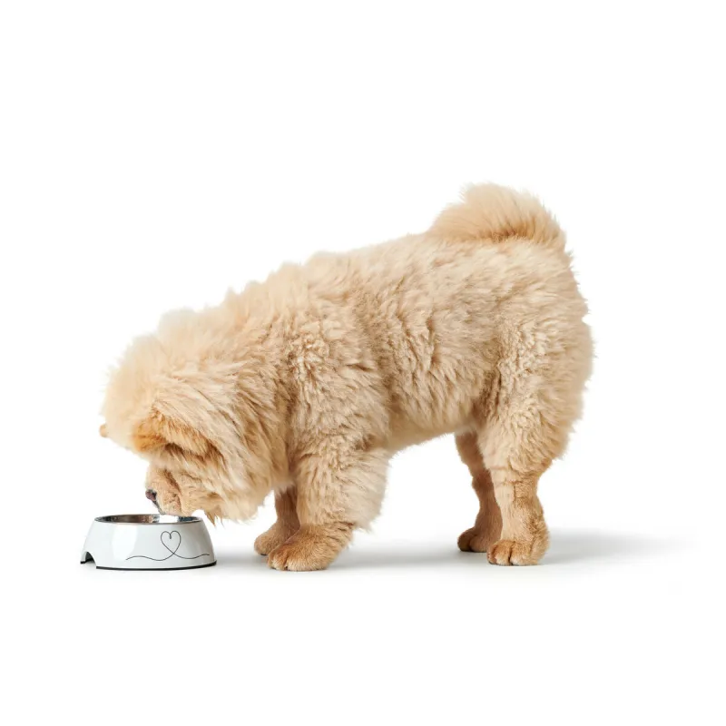Dog Feeder Hunter Valencia White 160 ml