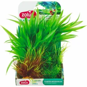 Decorative Plant Zolux