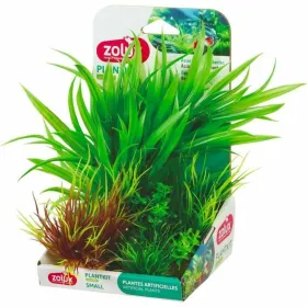 Decorative Plant Zolux