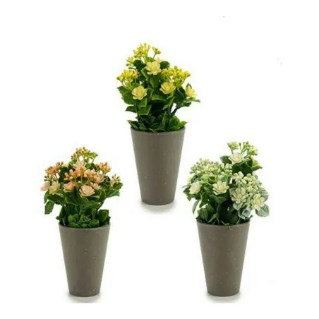 Dekoratiivne Taim Ibergarden Plastmass 11 x 22 x 11 cm