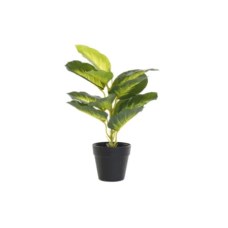 Dekoratiivne Taim DKD Home Decor PVC polüpropüleen 25 x 25 x 30 cm