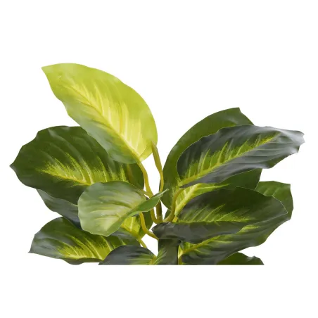 Dekoratyvinis augalas DKD Home Decor PVC polipropileno 25 x 25 x 30 cm