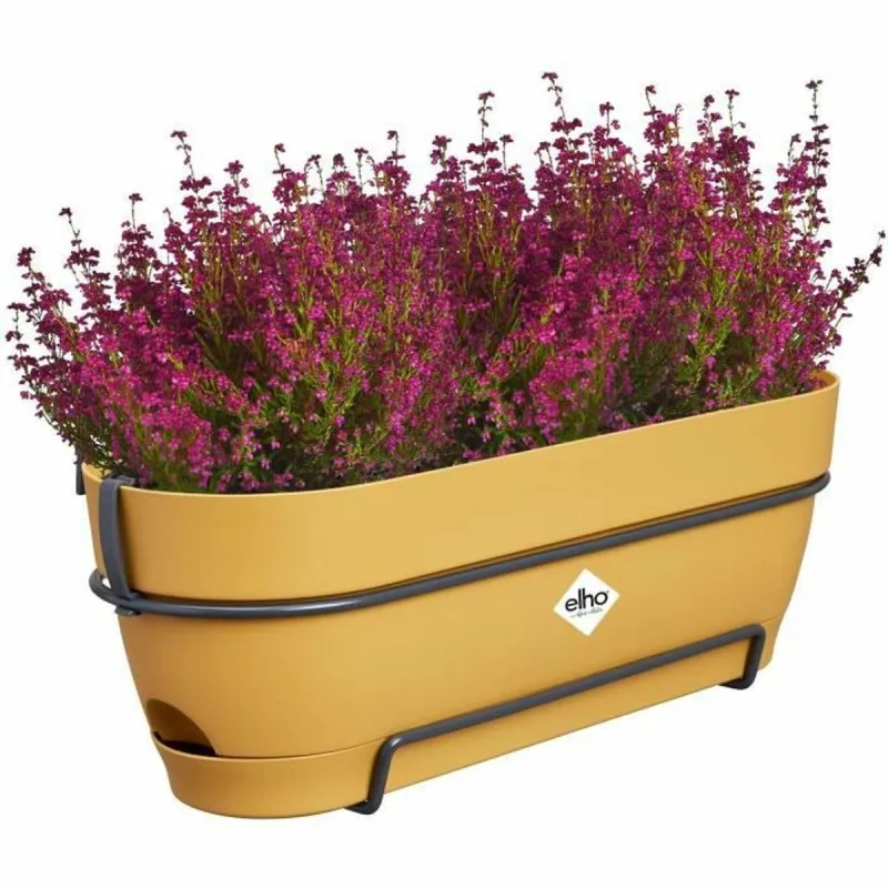 Istutuskast Elho   50 cm Plastmass
