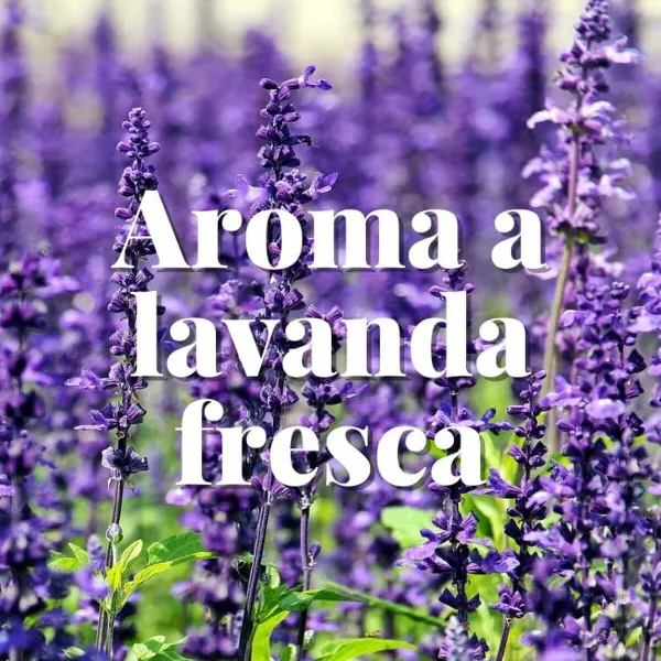 Mothproof Orion Lavendar