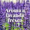 Koikindel Orion Lavendel