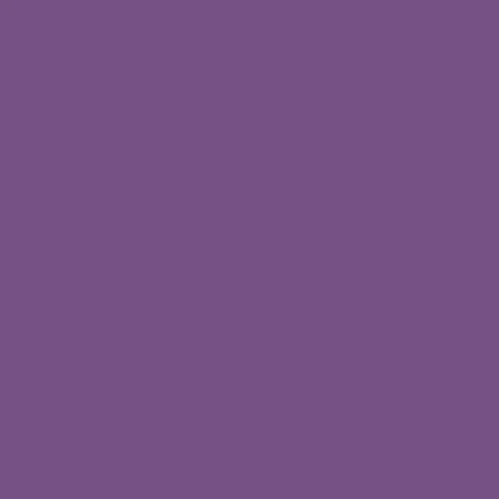 Spilvendrāna Happy Home MIX COLORS Ceriņš