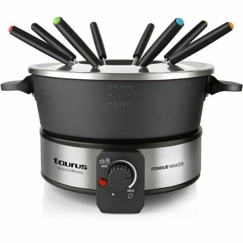 Fondiu Taurus FF2 Juoda Sidabras 1000 W