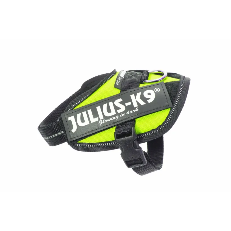 Koera rakmed Julius K9 IDC Kollane 2 Baby 2 (XS/S)