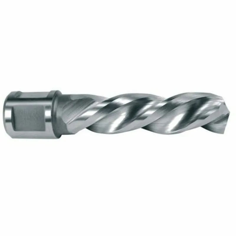 Tuščiaviduris grąžtas RUKO 13 mm 85 mm Weldon