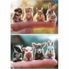 Palapeli Educa Baby Animals 2 x 20 (2 osaa)
