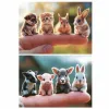 Palapeli Educa Baby Animals 2 x 20 (2 osaa)