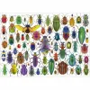 Palapeli Educa Beetles 500 Kappaletta