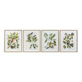 Картина DKD Home Decor Bird Стеклянный Ель 55 x 2,5 x 70 cm (4 Предметы)
