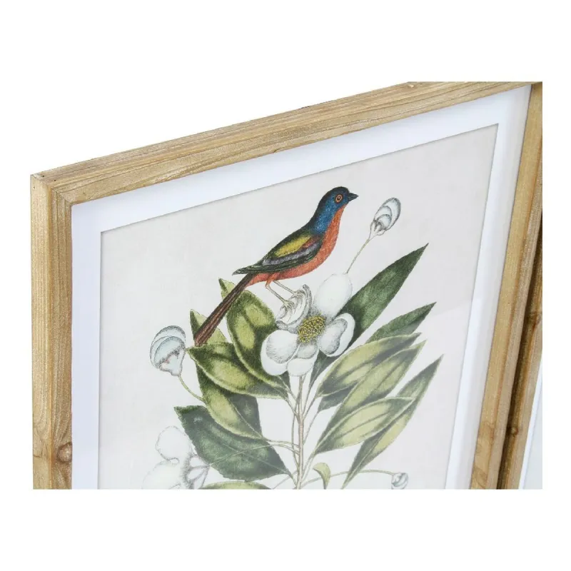 Painting DKD Home Decor Bird Crystal Fir 55 x 2,5 x 70 cm (4 Pieces)