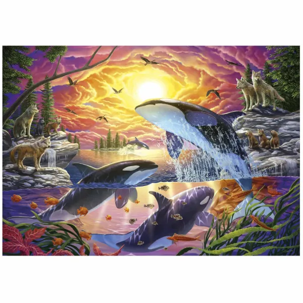 Puzzle Educa Orcas y Lobos 4000 Pieces