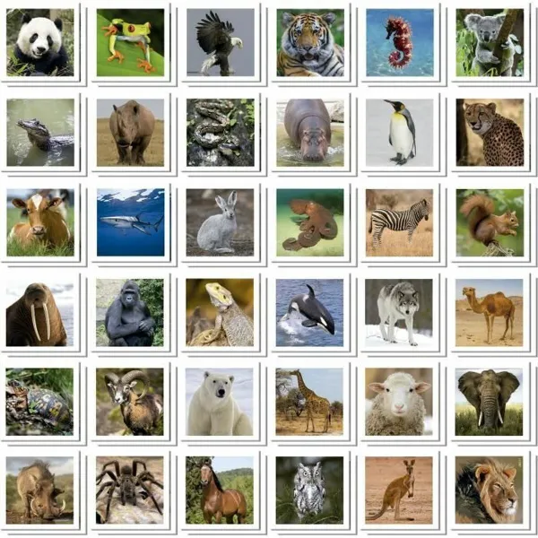 Muistipeli Educa Identic Memo Animals