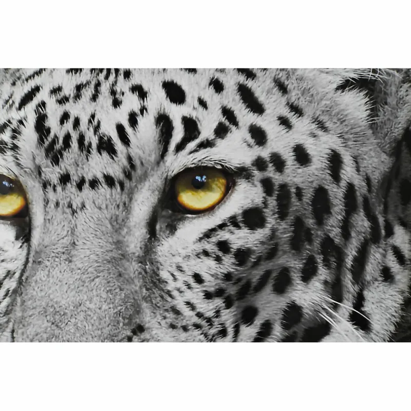 Painting DKD Home Decor Crystal polystyrene 67 x 3 x 93 cm (3 Pieces)