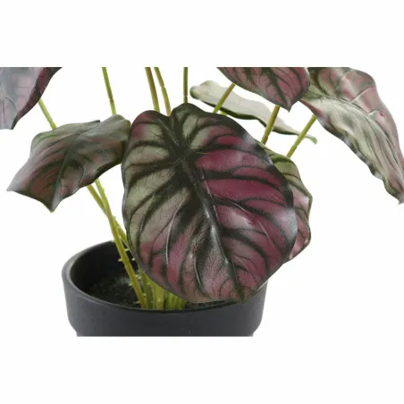 Dekoratīvs Augs DKD Home Decor Rozā Zaļš PE (10 x 10 x 27 cm)